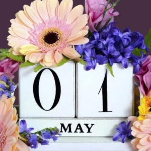 Mesaj de felicitare cu ocazia Zilei Internaționale a Solidarității Oamenilor Muncii