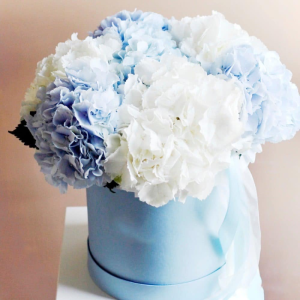 Mesaj de felicitare adresat domnului Valerii GUȚU, specialist, Secția Agricultură, Relații Funciare și Cadastru cu ocazia Zilei de naștere!