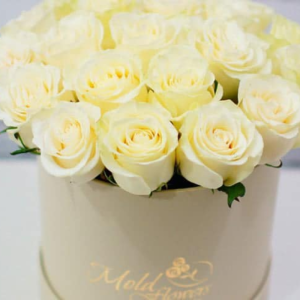 Mesaj de felicitare cu ocazia zilei de naștere adresat domnului Mihail MUNTEAN, specialist principal, Secția Construcții, Gospodărie Comunală, Drumuri și Investiții!