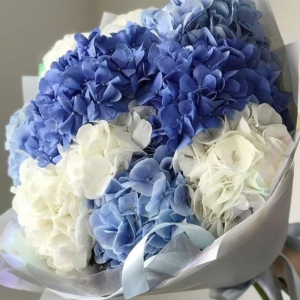 Mesaj de felicitare adresat cu ocazia zilei de naștere domnului Corneliu TETIU, Șef Secție Construcții, Gospodărie Comunală, Drumuri și Investiții!