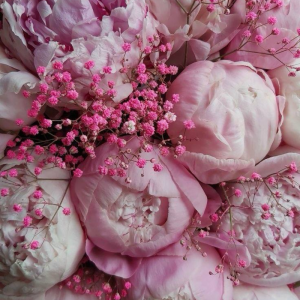 Mesaj de felicitare cu ocazia Hramului Localității!