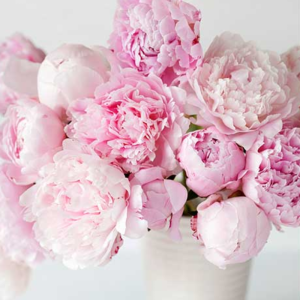 Mesaj de felicitare cu ocazia Hramului c.Mărcăuți!