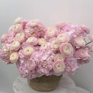 Mesaj de felicitare adresat doamnei Alla LUPAȘCO, Șef Direcție Finanțe cu ocazia zilei de naștere