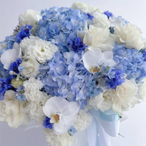 Mesaj de felicitare adresat domnului Evghenii MOROZ, Șef interimar Direcția Învățământ, Tineret și Sport Briceni cu prilejul zilei de nașter