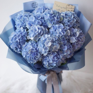 Mesaj de felicitare adresat domnului Ion ȚINTEA, Administrator, Consiliul raional Briceni!