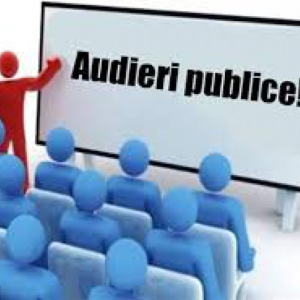 ANUNȚ  privind organizarea și desfășurarea audierilor publice asupra proiectului Strategiei de dezvoltare socio-economică a raionului Briceni pentru perioada 2026 – 2030