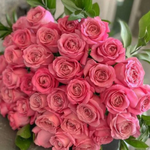 Mesaj de felicitare adresat doamnei Marina PLEȘCA, Vicepreședinte al raionului Briceni cu ocazia Zilei de Naștere!