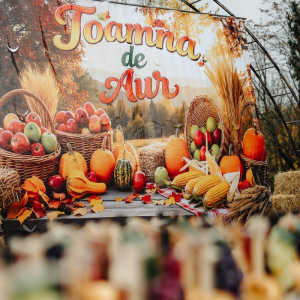 Festivalul raional ,,Toamna Aurie-2026″!